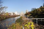 都市风景