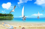 海边帆船海鸥