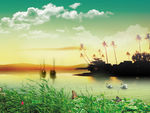 池塘湖泊美景