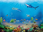 海底世界 海洋世界