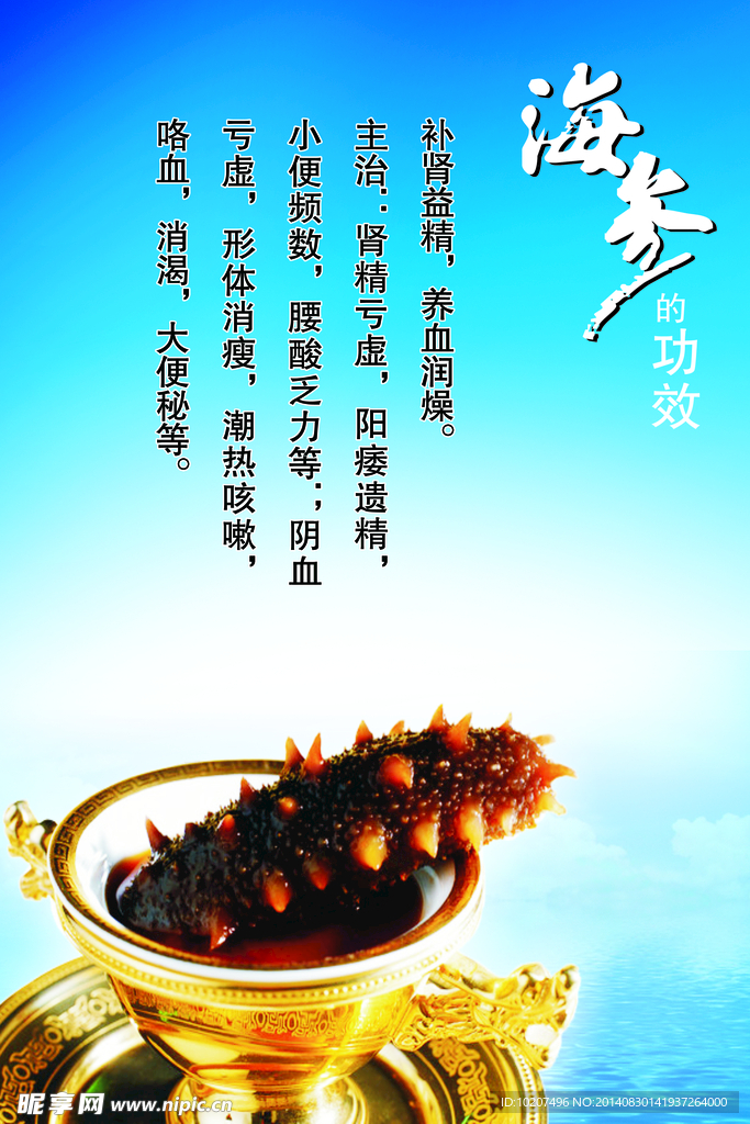 海参的功效PSD 分层素材