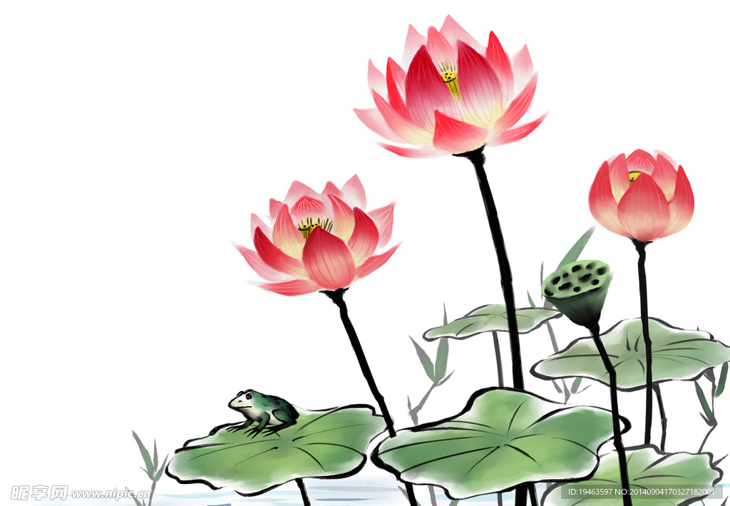 荷塘