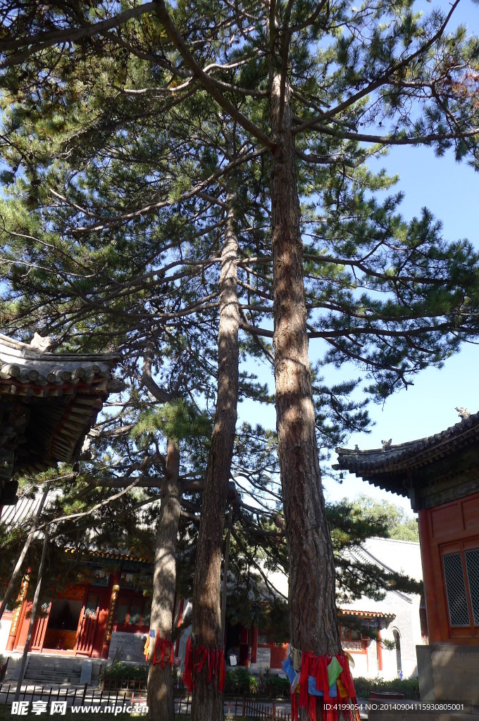 山西五台山