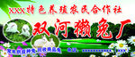 兔子特色养殖