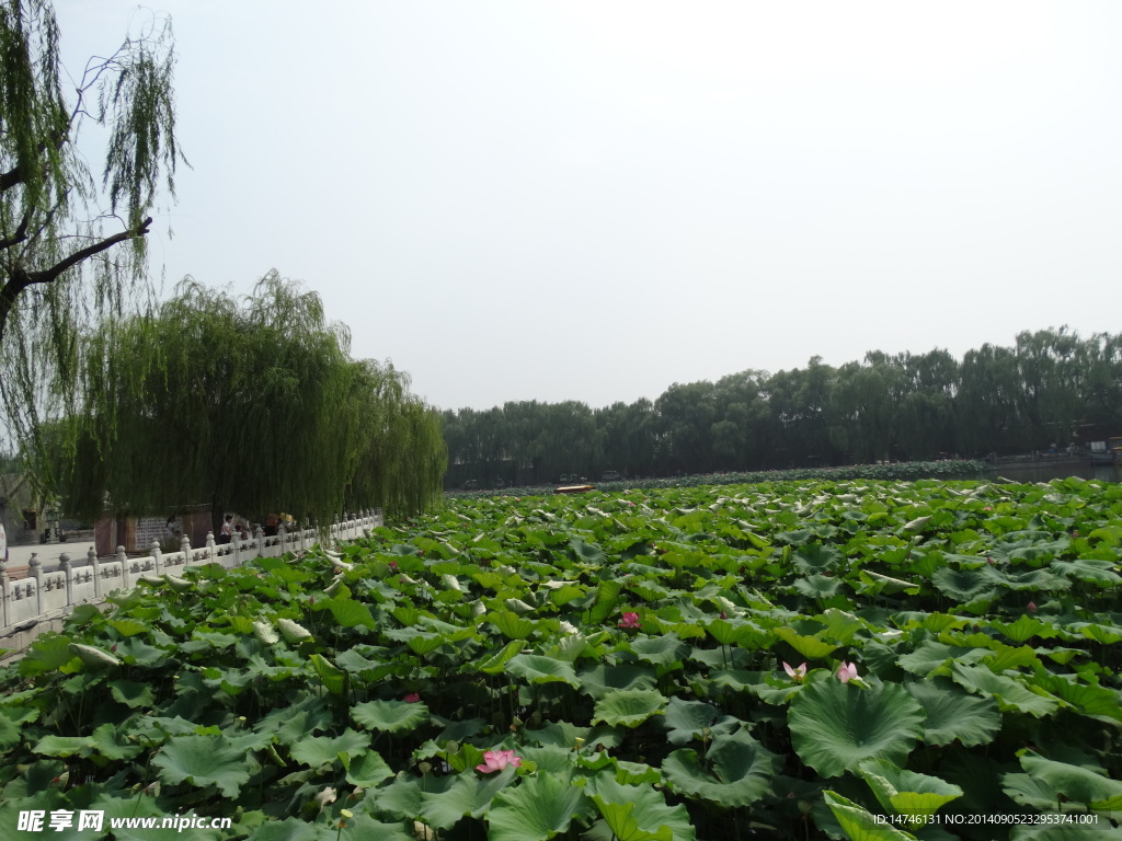 北京风光