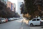 马路