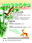 高中班 招生 竹子