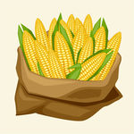 玉米蔬菜设计