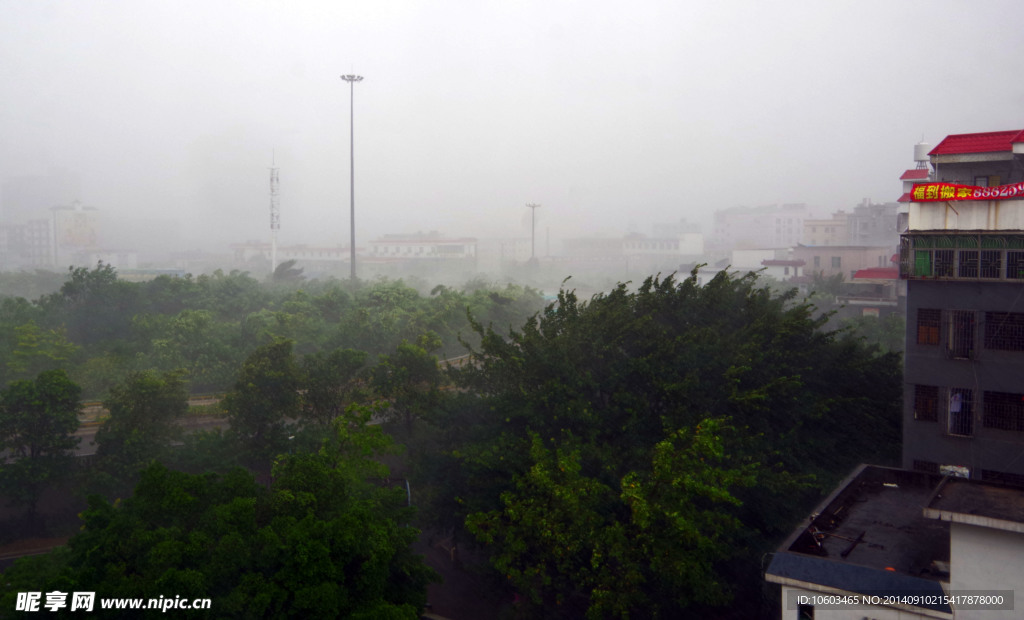 暴雨景观