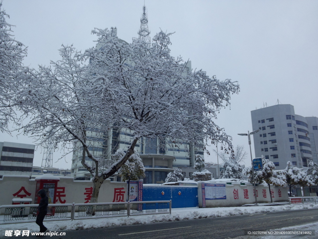 雪景