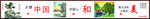 中国 和 美