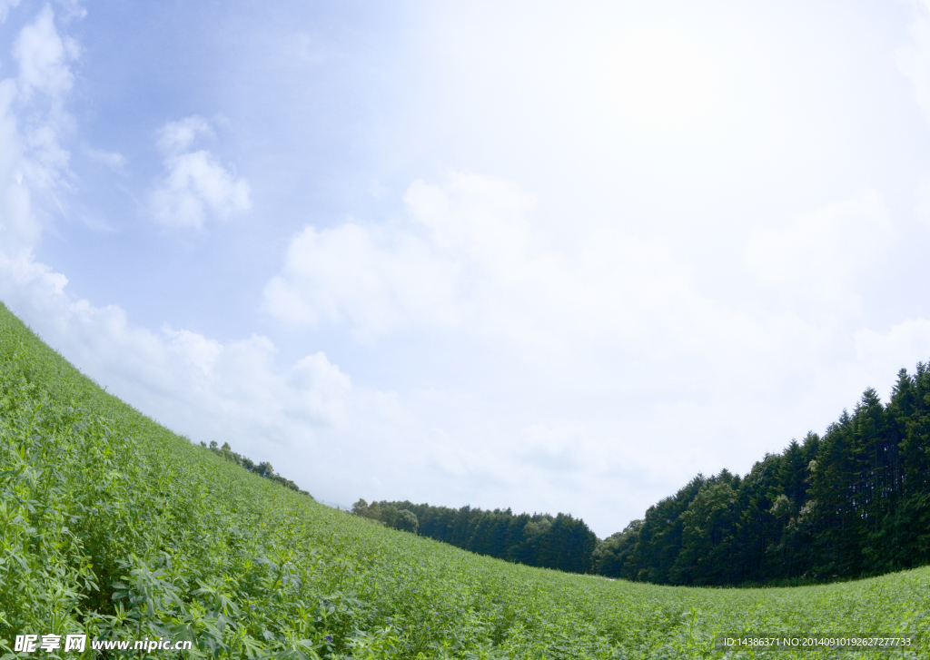 田野风景