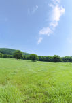 田野风景