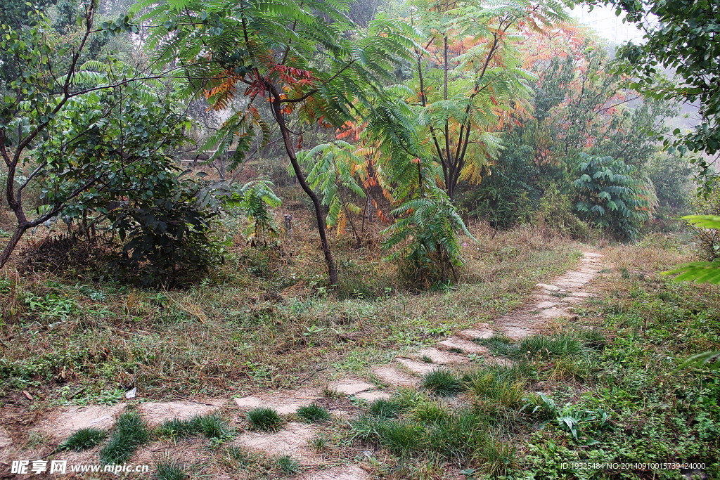 山间小路