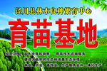 育苗基地
