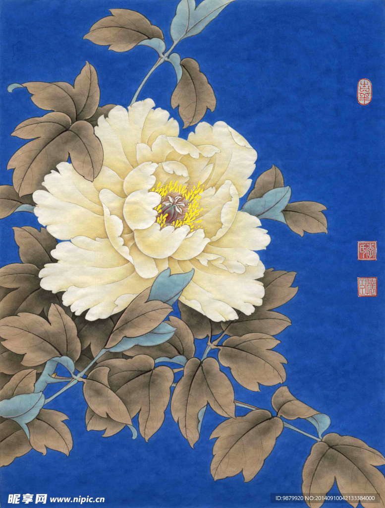 白牡丹