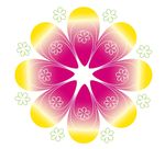 花 花形