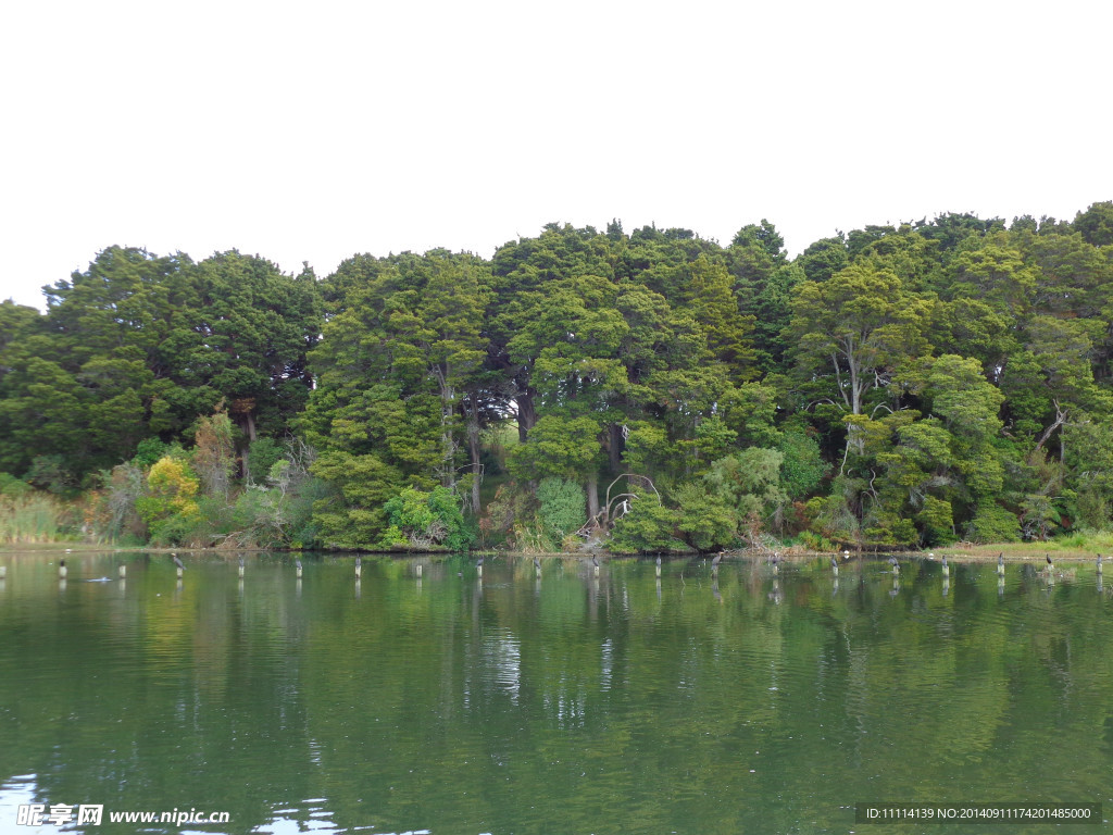 新西兰野鸭湖风景