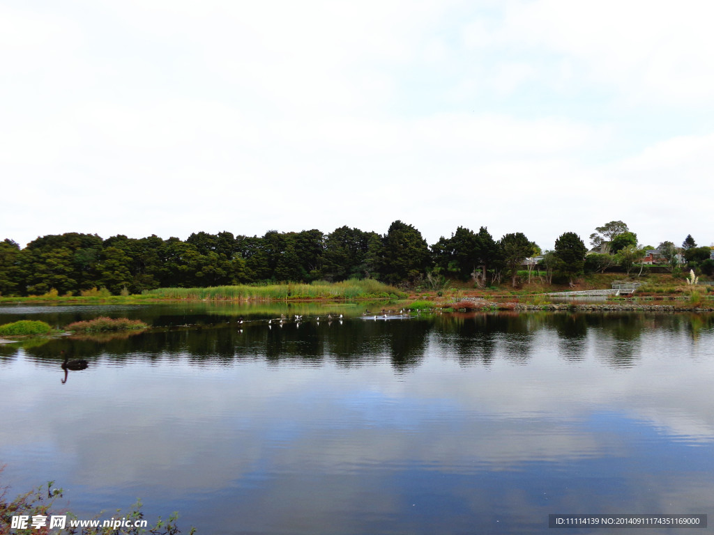 野鸭湖风景