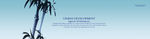中国古风banner