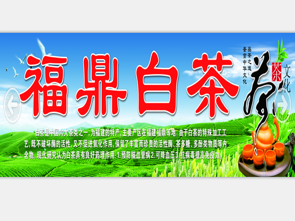 万人茶叶