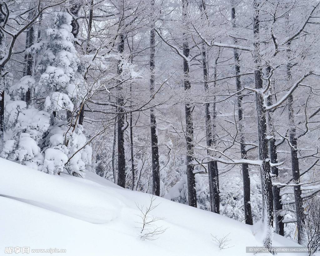 大雪迷幻