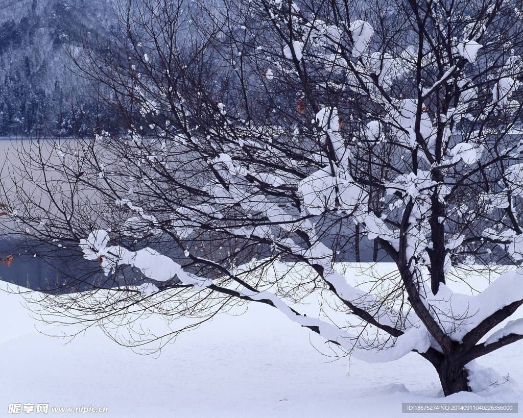 大雪迷幻
