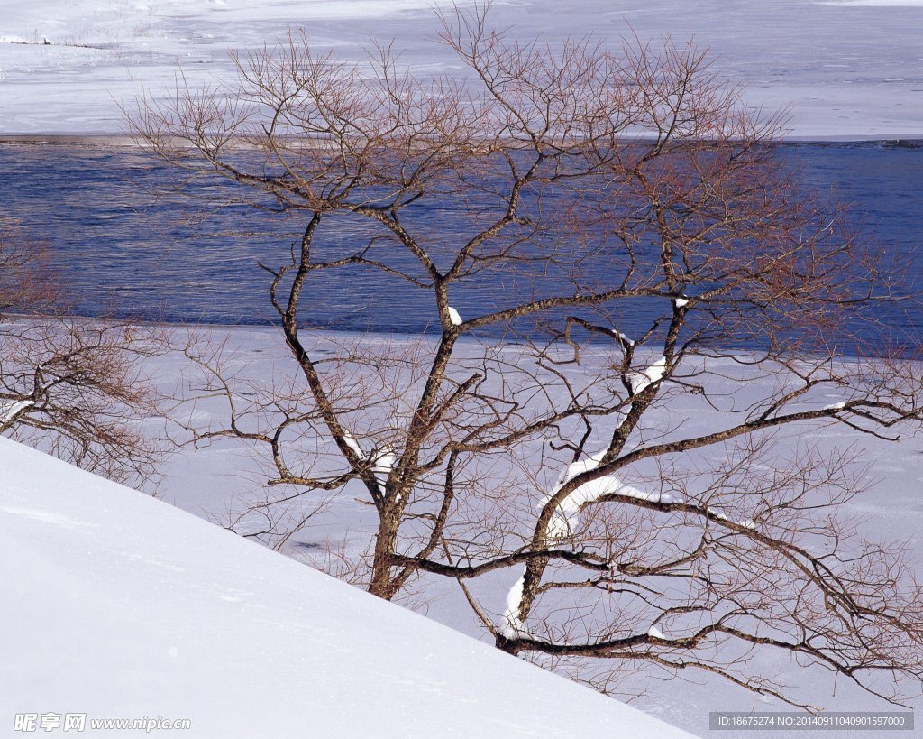 大雪迷幻