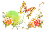 清新蝴蝶花纹