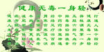 健康无毒一身轻