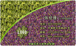 清新花卉名片