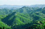 绿油油的山川