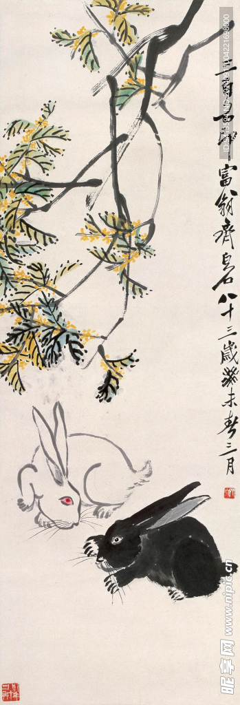 桂花双兔