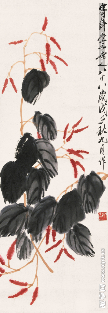 红蓼