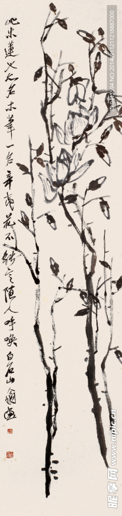 木莲图