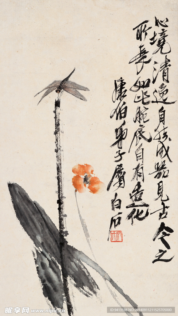蜻蜓小花