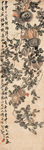 石榴