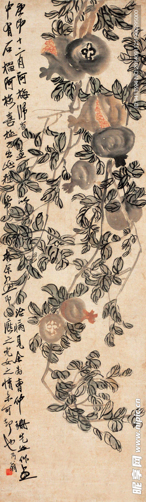 石榴