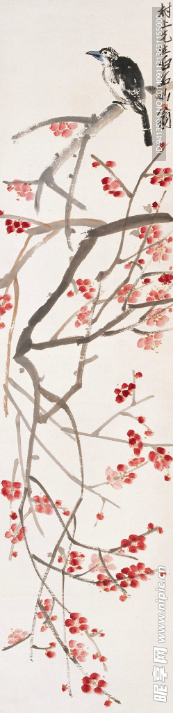 桃花小鸟