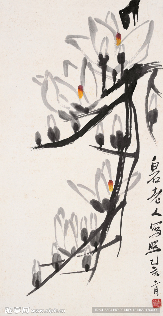 玉兰