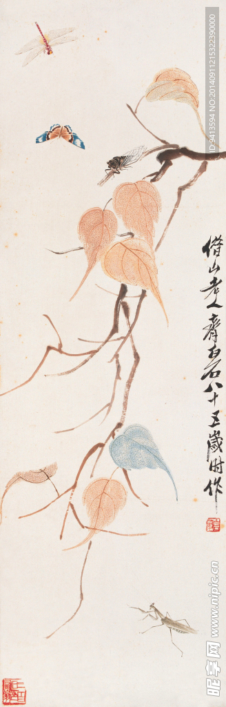 贝叶草虫图