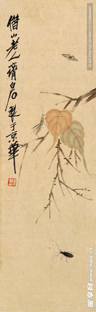 贝叶草虫图