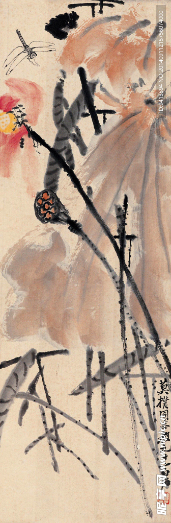 荷花蜻蜓
