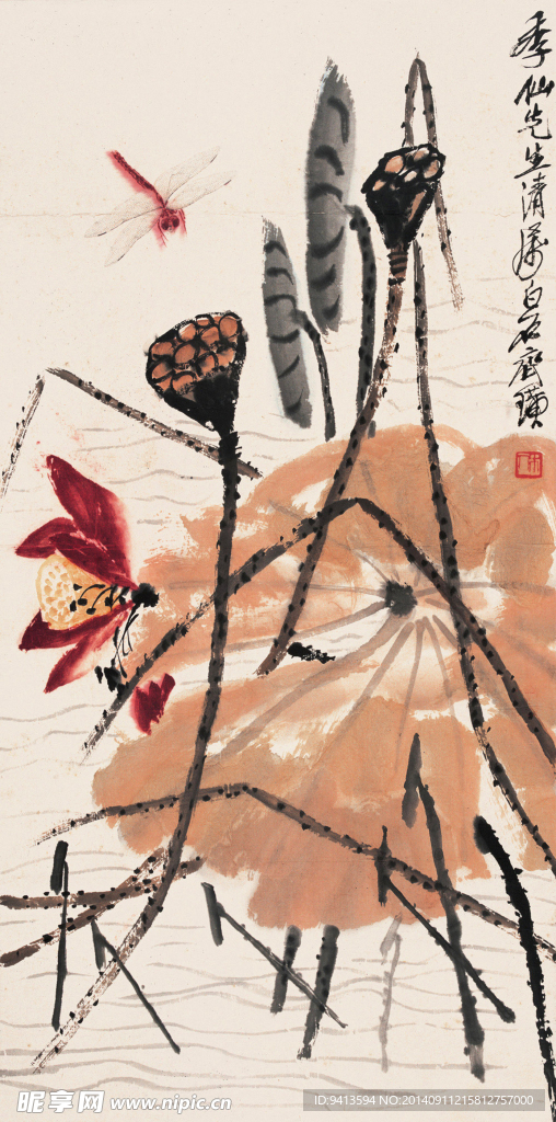 荷花蜻蜓