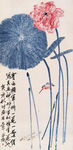 红芙翠羽