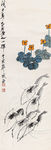 虾