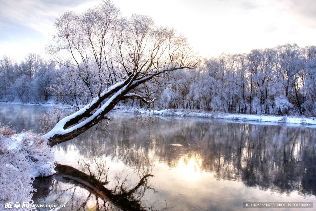 雪景