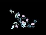 山茶花