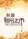 秋装 新品上市