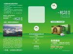保健品宣传册绿色封面